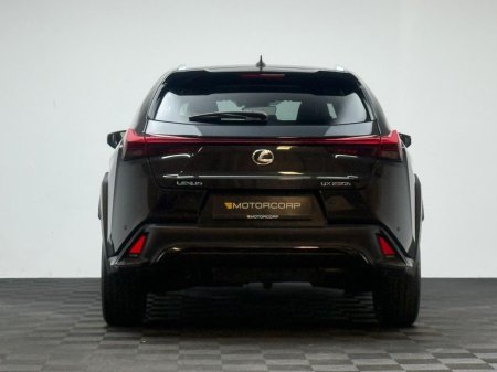 2023 Lexus UX - photo 6