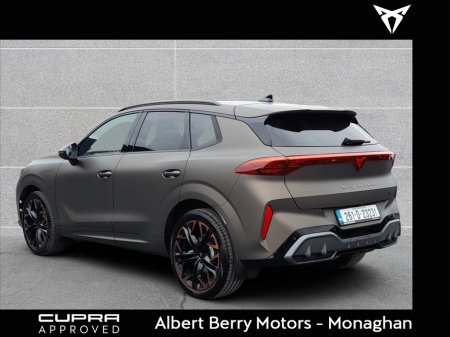 2026 Cupra Terramar - photo 16