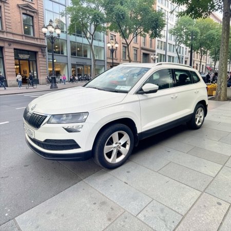 2021 Skoda Karoq - photo 3