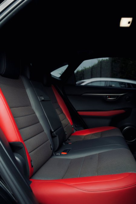 2019 Lexus NX - photo 21