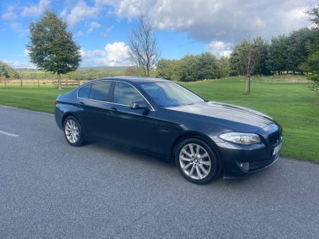 2010 BMW 5-Series - photo 7