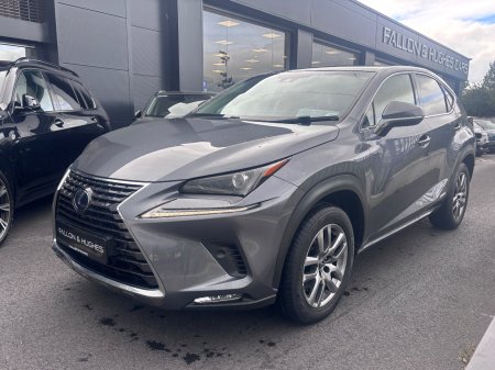 2019 Lexus NX - photo 6
