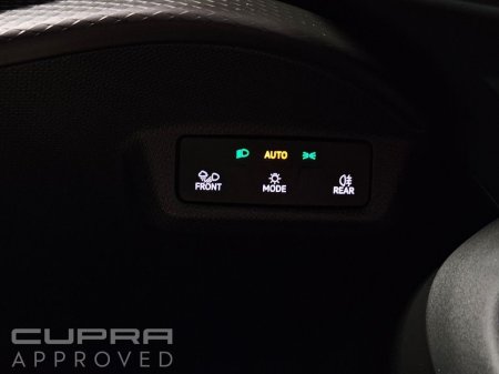 2026 Cupra Tavascan - photo 28
