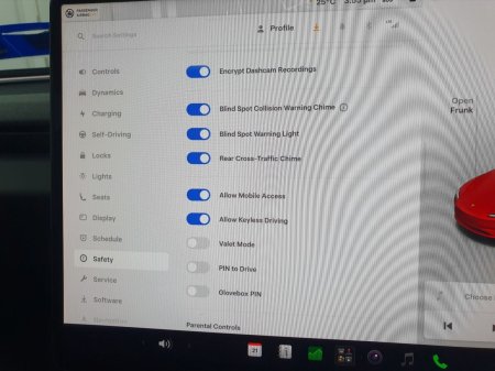 2025 Tesla Model 3 - photo 28