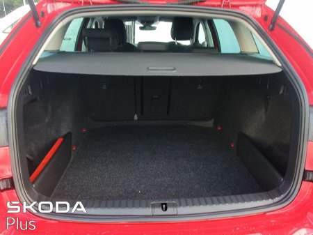 2023 Skoda Octavia - photo 10