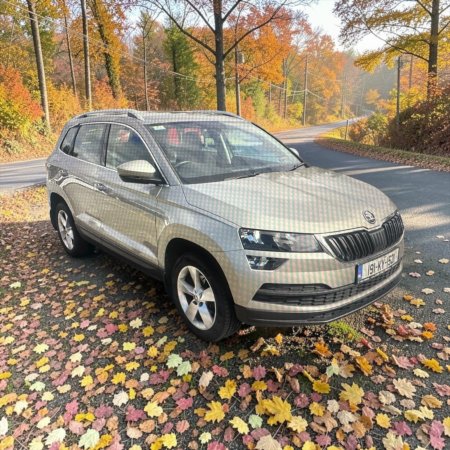 2019 Skoda Karoq - photo 3