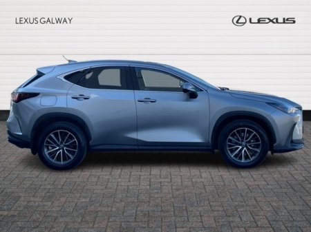 2024 Lexus NX - photo 3