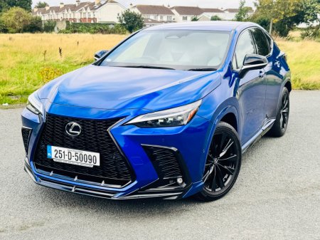 2025 Lexus NX - photo 19