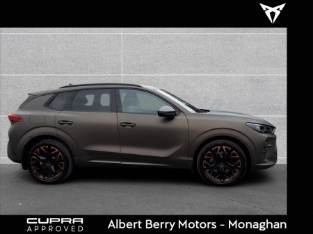 2026 Cupra Terramar - photo 15