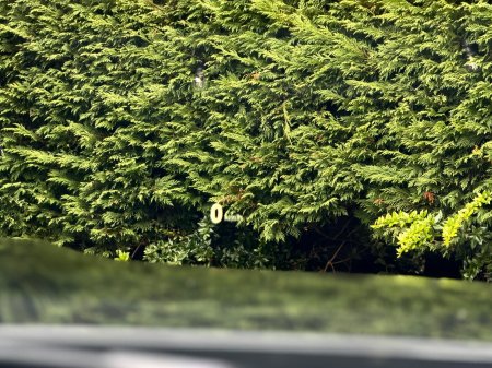 2018 BMW M3 - photo 24