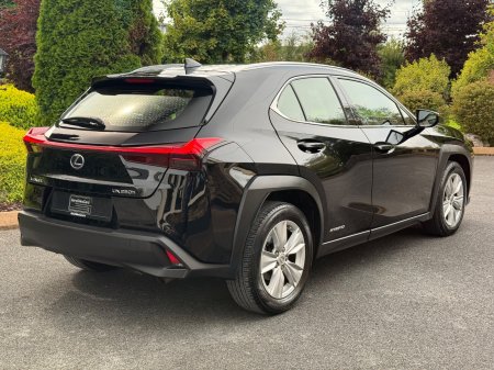 2020 Lexus UX - photo 7