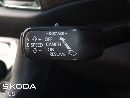 2024 Skoda Kodiaq - photo 32