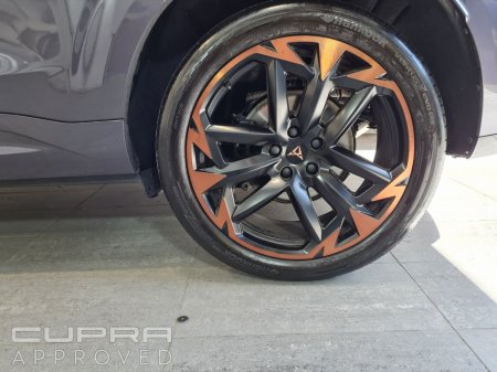 2026 Cupra Terramar - photo 6