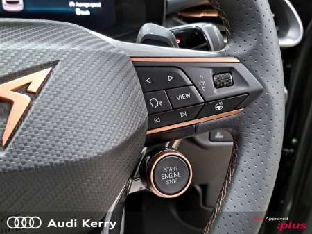 2026 Cupra Terramar - photo 21