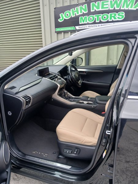 2018 Lexus NX - photo 16