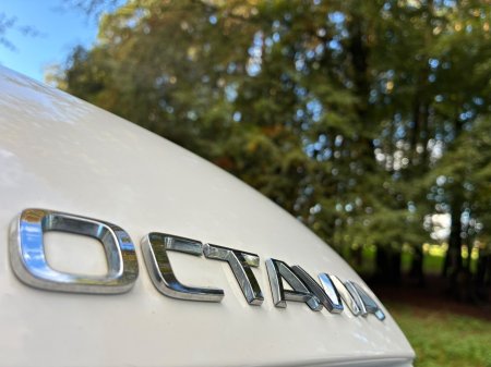 2018 Skoda Octavia - photo 25