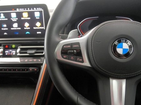 2025 BMW 8-Series - photo 17