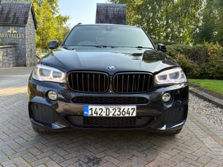 2014 BMW X5 - photo 4
