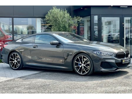 2019 BMW 8-Series - photo 10