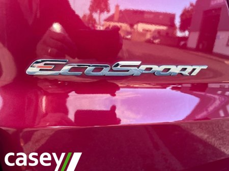2019 Ford EcoSport - photo 21