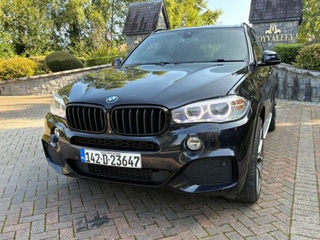 2014 BMW X5 - photo 5
