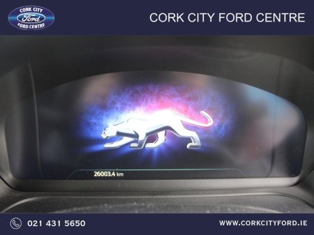 2024 Ford Puma - photo 18