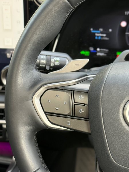 2025 Lexus RX - photo 21