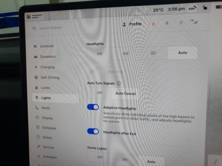 2025 Tesla Model 3 - photo 31
