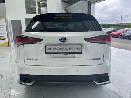 2019 Lexus NX - photo 5