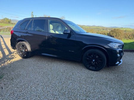 2016 BMW X5 - photo 9