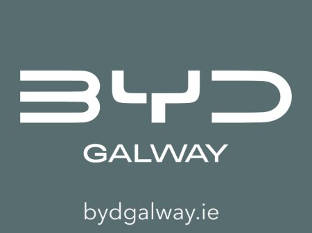 2026 BYD DOLPHIN SURF - photo 20