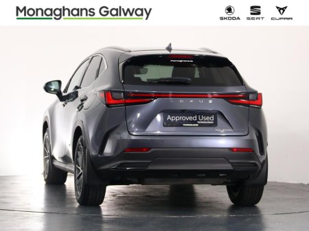 2023 Lexus NX - photo 3