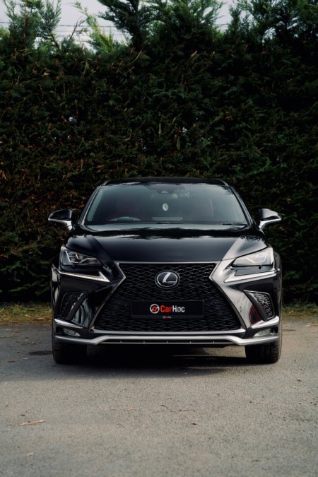 2019 Lexus NX - photo 7