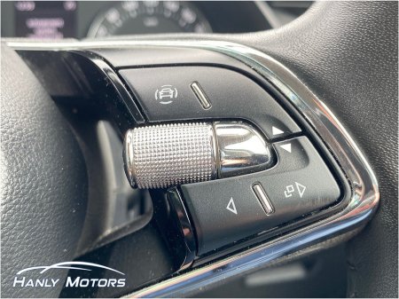 2024 Skoda Octavia - photo 19