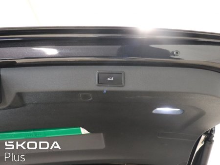 2025 Skoda Kodiaq - photo 24