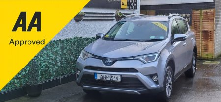2019 Toyota RAV4 2.5 Hybrid 2WD Luna Sport