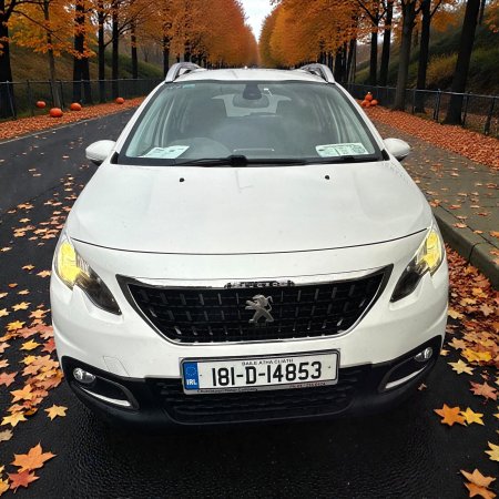 2018 Peugeot 2008 - photo 6