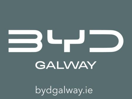 2026 BYD DOLPHIN - photo 45