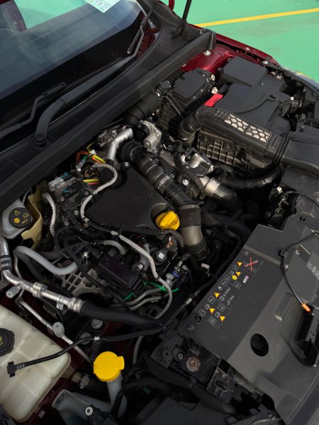 2019 Renault Megane - photo 15