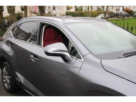 2019 Lexus NX - photo 8