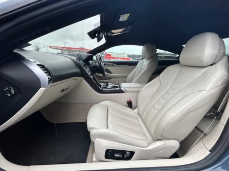 2019 BMW 8-Series - photo 17