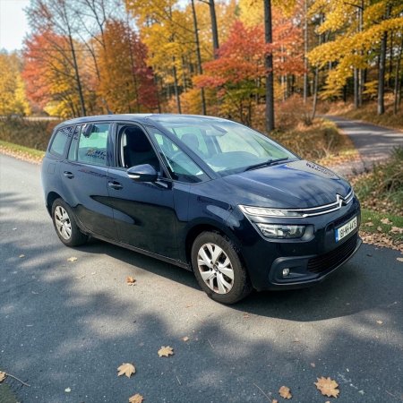 2018 Citroen C4 - photo 6