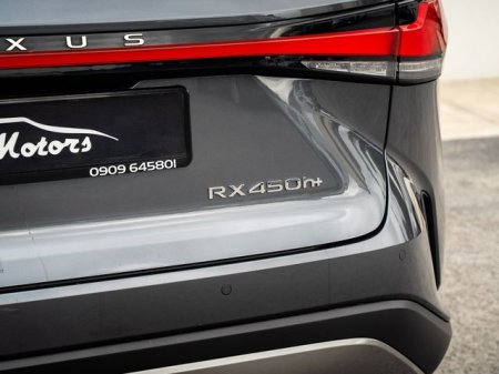 2024 Lexus RX - photo 10