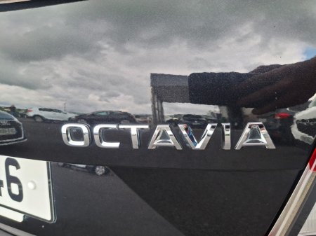 2018 Skoda Octavia - photo 19
