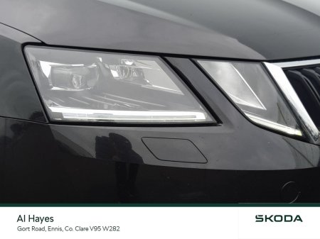 2019 Skoda Octavia - photo 14