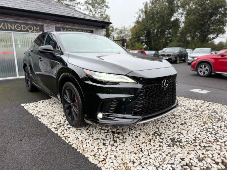 2024 Lexus RX - photo 10