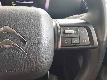 2023 Citroen e-C4 X - photo 35