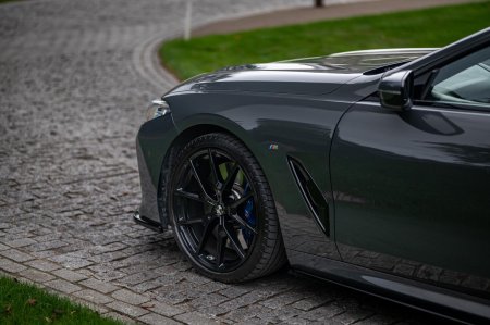 2020 BMW 8-Series - photo 7