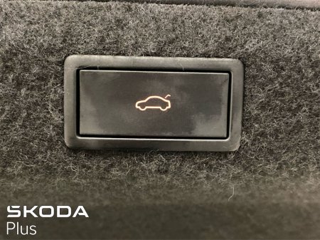 2024 Skoda Octavia - photo 25