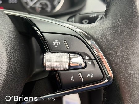 2024 Skoda Kamiq - photo 16